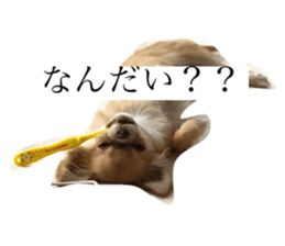 27643513