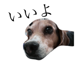 27643519