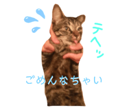 276449326