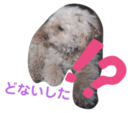 276453331
