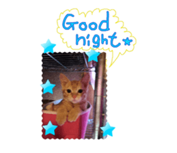 27645583