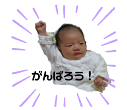 276510516