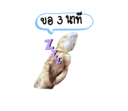 276546945