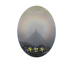 276558387