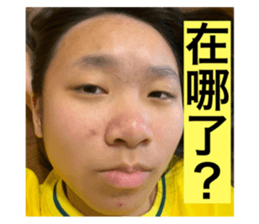 276563119