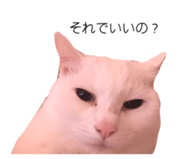 276571661
