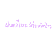 276591748