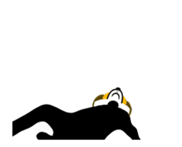 27662691