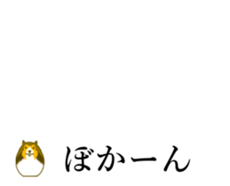27662694