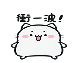 276662127