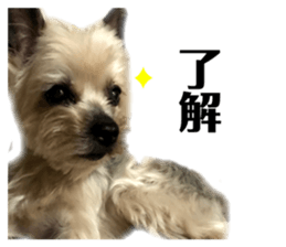 276663298