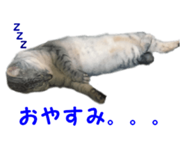 27673089