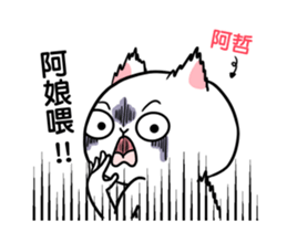 276771758