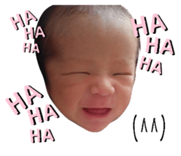 276782495