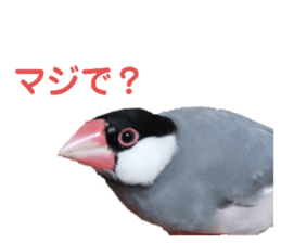 276830966