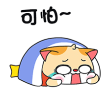 276884495