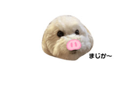 276971874