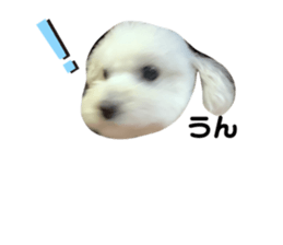 276971877