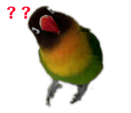 277058652