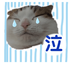 277065021