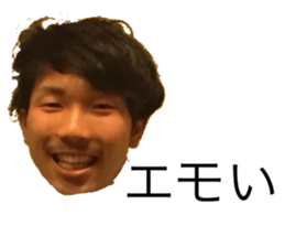277066094