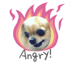 277183696