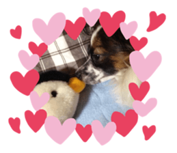 277183701