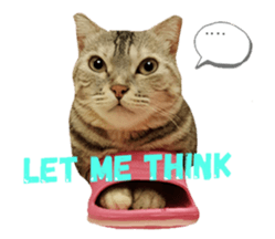 277228386