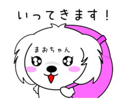 277243201