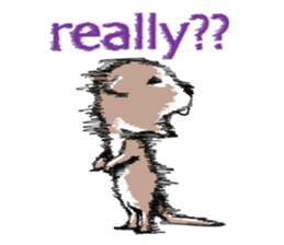 2772562