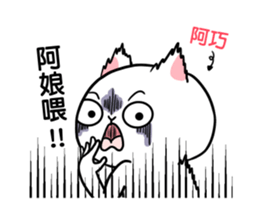 277336230