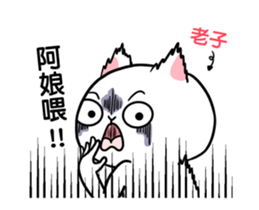 277339806