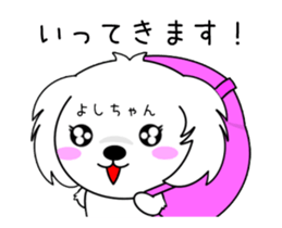 277357129