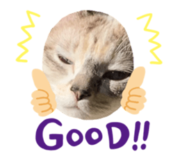 277414457