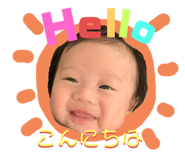 277480446