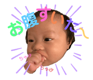 277480462