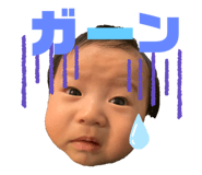 277480479