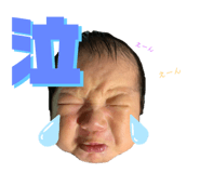 277480482
