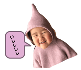 277571964
