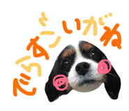 27759384