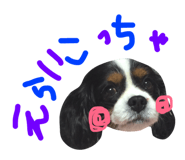 27759400