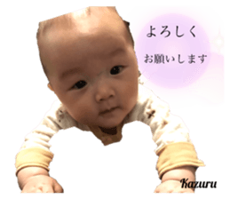 277595163