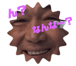 277615977