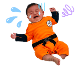 277662636