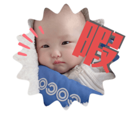 277712691