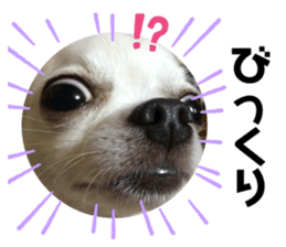 277812576