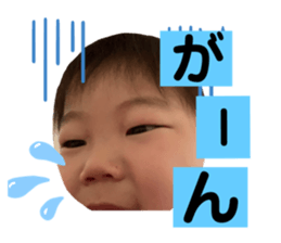 277909004