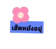 277917841