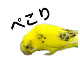 277932269