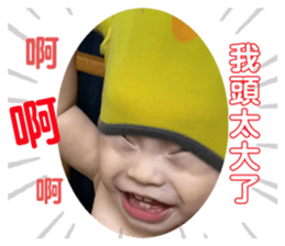277933637